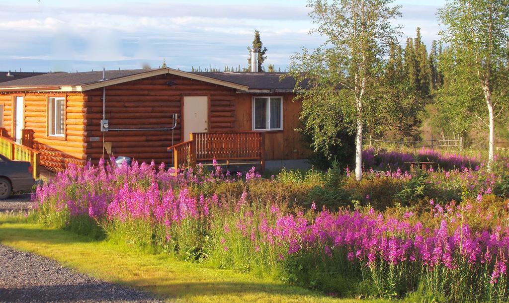 Arctic Chalet Resort Инувик Экстерьер фото