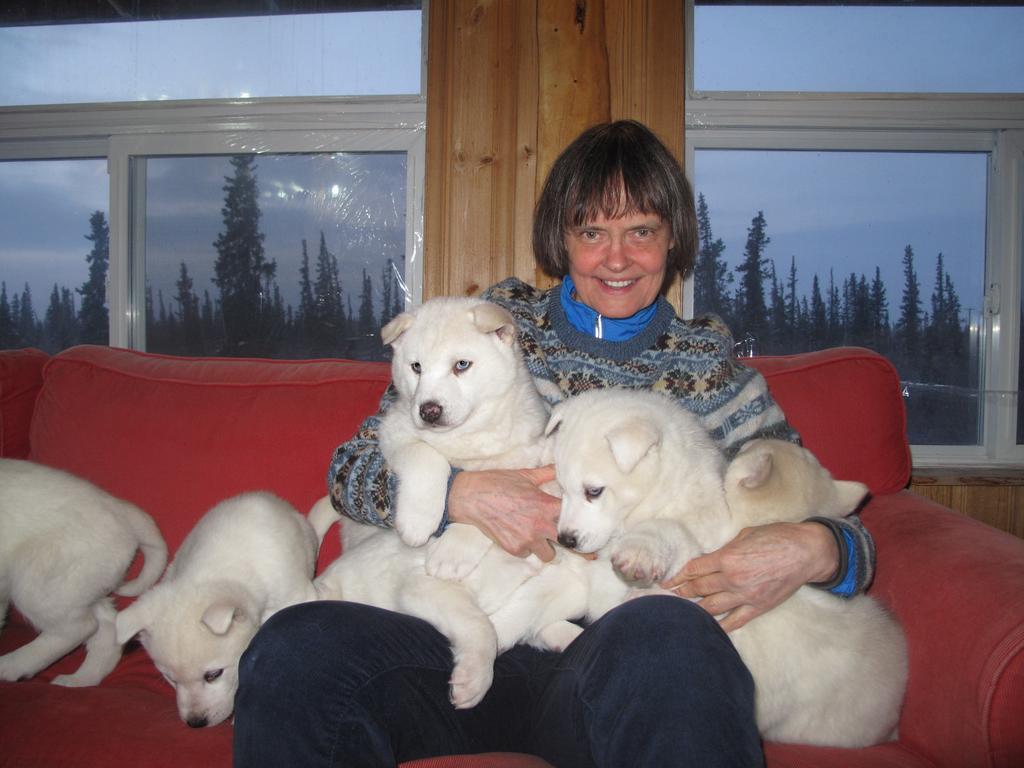 Arctic Chalet Resort Инувик Экстерьер фото